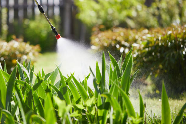 Tamper-Resistant Bait Stations for Rodents in Alpena