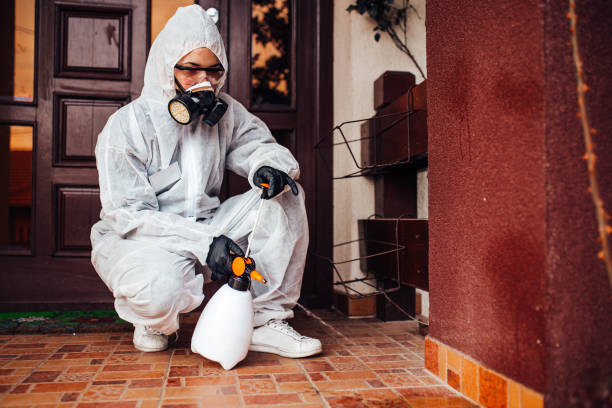 Attic and Crawl Space Rodent Treatment in Alpena